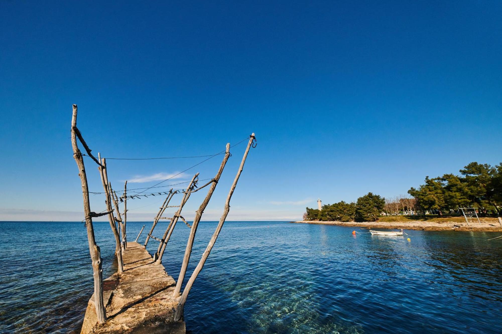 Mina's Shine * Umag